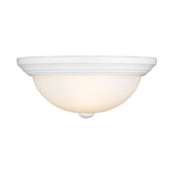 Millennium Lighting Metal Flush Mount Ceiling Fixture in Multiple Finishes - N/A