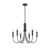 Millennium Lighting Potiss 6/9 Chandelier Ceiling Light