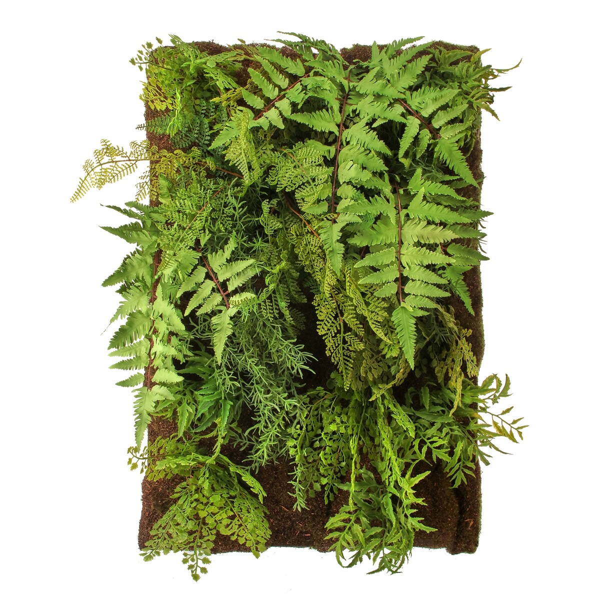 Mixed Fern Wall Plaque 18"X24"