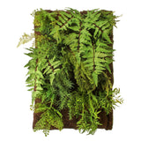 Mixed Fern Wall Plaque 18"X24"