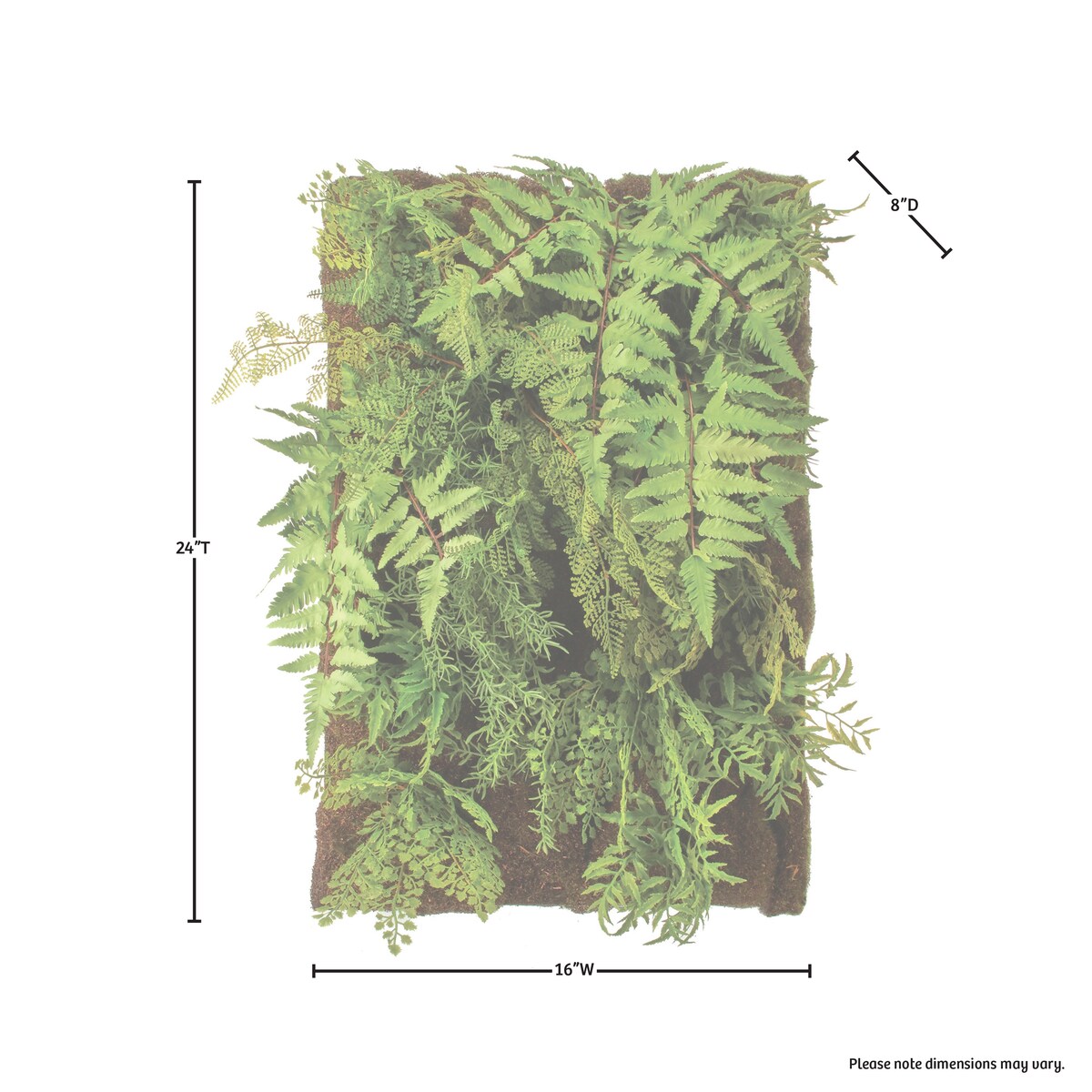 Mixed Fern Wall Plaque 18"X24"