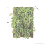 Mixed Fern Wall Plaque 18"X24"