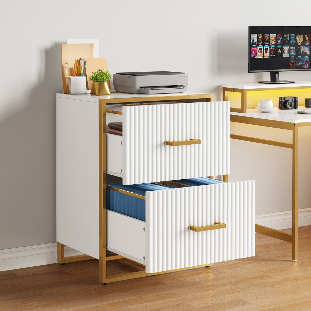 Moasis 2 Drawer File Cabinet with Gold Frame Filing Cabinet for Letter Size Printer Stand