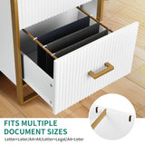 Moasis 2 Drawer File Cabinet with Gold Frame Filing Cabinet for Letter Size Printer Stand