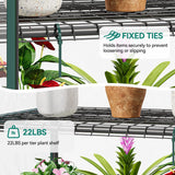 Moasis Growing Rack, Mini Greenhouse with Lights