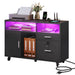 Moasis LED File Cabinet for Home Office Lateral Filing Cabinets with 2 Drawers