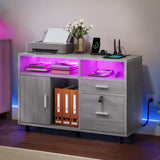 Moasis LED File Cabinet for Home Office Lateral Filing Cabinets with 2 Drawers