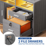 Moasis LED File Cabinet for Home Office Lateral Filing Cabinets with 2 Drawers