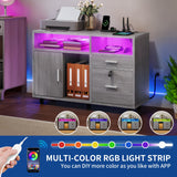 Moasis LED File Cabinet for Home Office Lateral Filing Cabinets with 2 Drawers