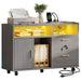 Moasis LED File Cabinet for Home Office Lateral Filing Cabinets with 2 Drawers
