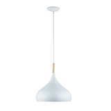 Modern 1 Light Indoor Pendant White Finish