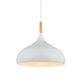 Modern 1 Light Indoor Pendant White Finish