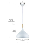 Modern 1 Light Indoor Pendant White Finish