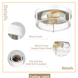 Modern 2-Light Flush Mount Ceiling Light