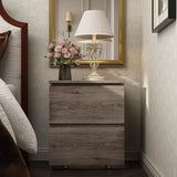 Modern 2-drawer Nightstand for Home Storage Chest