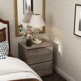 Modern 2-drawer Nightstand for Home Storage Chest