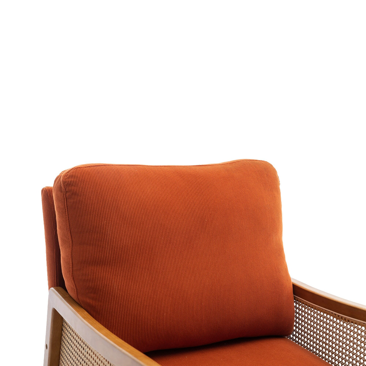 Modern Accent Chair Wood Frame Armchair