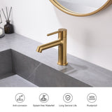 Modern Bathroom Sink Faucet Single Handle and 1 Hole