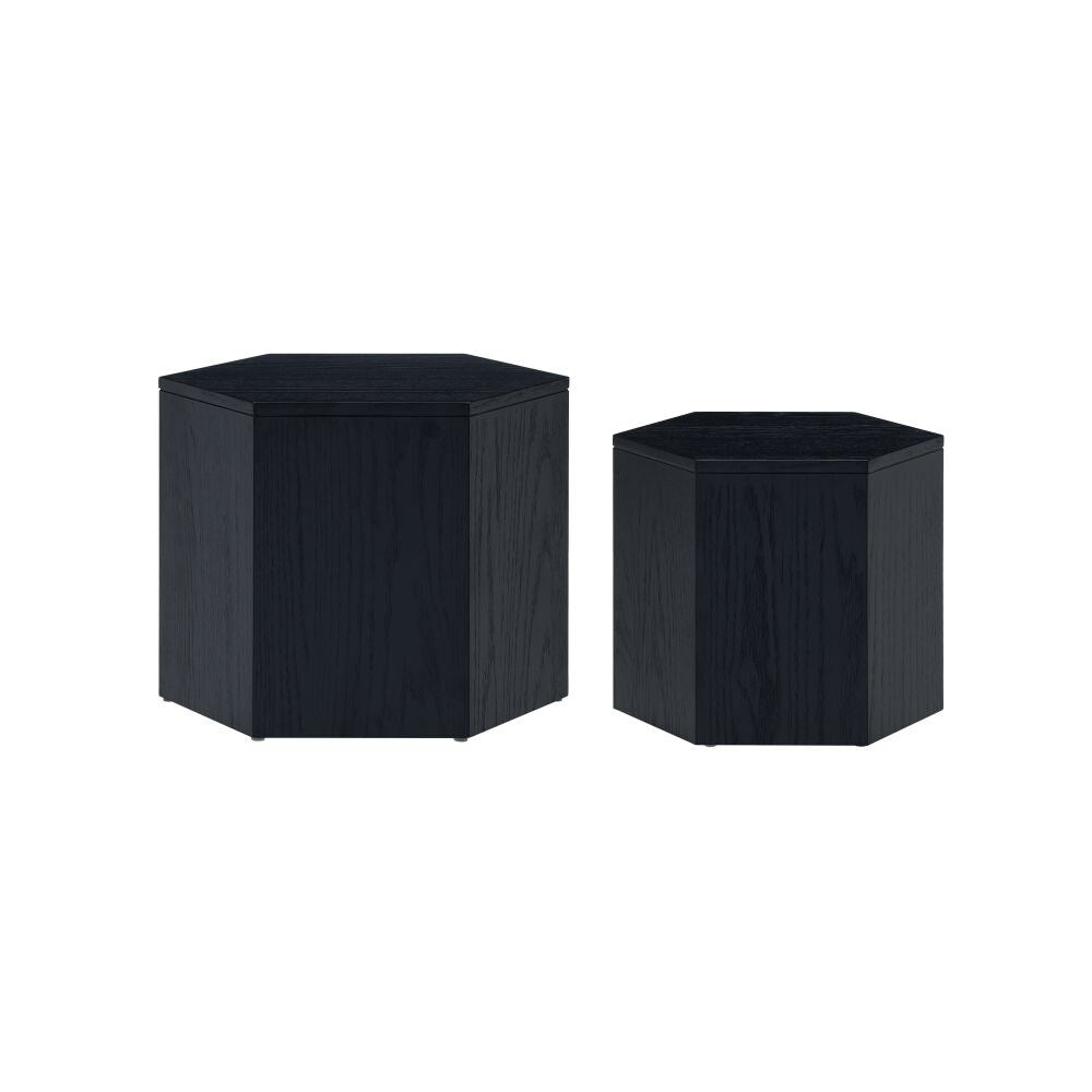 Modern Coffee Table Set of 2 for Living Room