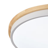 Modern Concise 1-Light Circle LED Flush Mount Ceiling Lighting Fixture