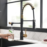 Modern Kitchen 2-Function Sink Faucet With Pull Down Sprayer - 8.8''W x 19.6''H