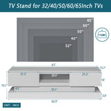 16-Color LED Lights TV Stand for TV up to 55"/65", Modern Entertainment Center with 2 Drawers