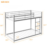 Modern Metal Bunk Bed, Low Bunk Bed with Ladder