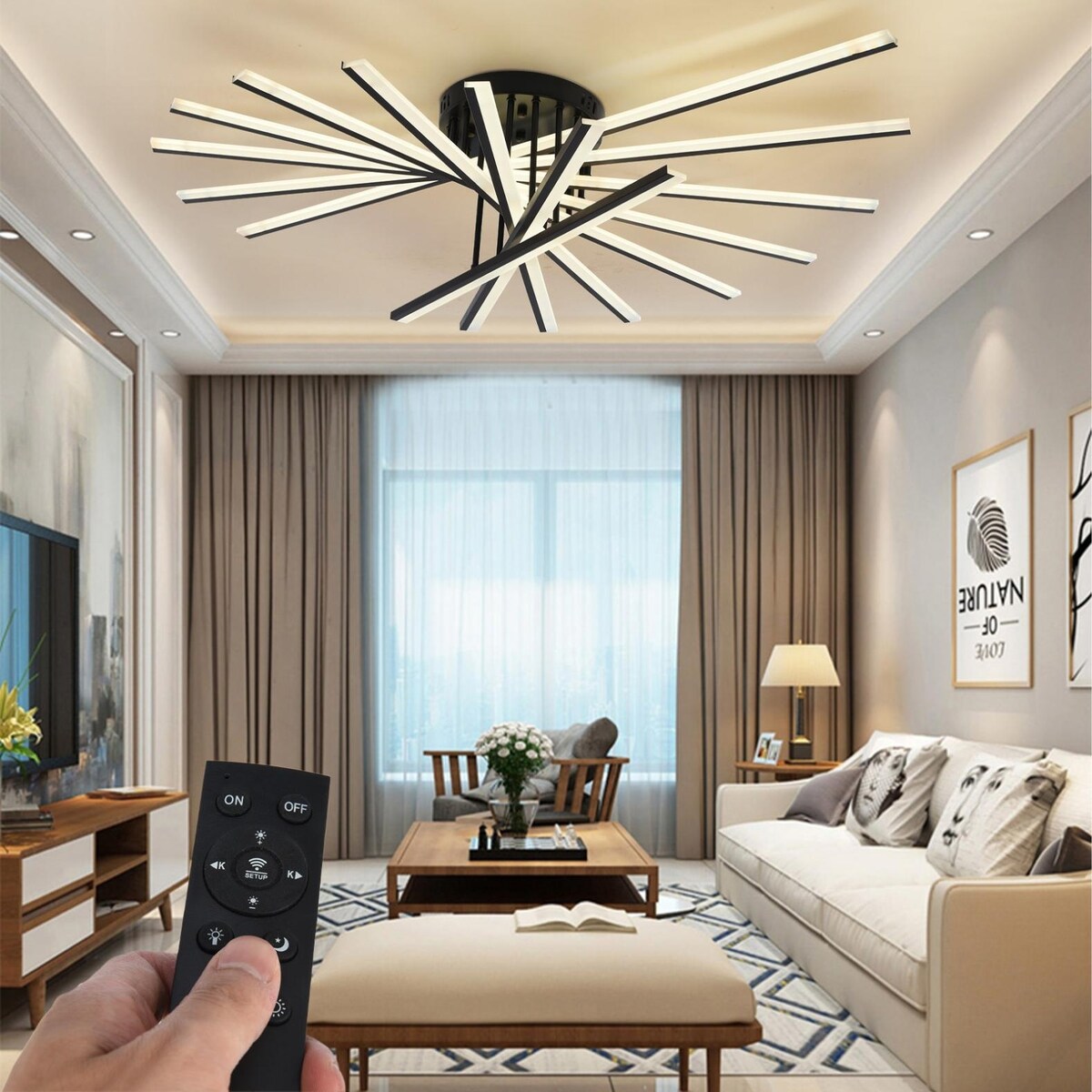 Modern Personality Ceiling Lamp