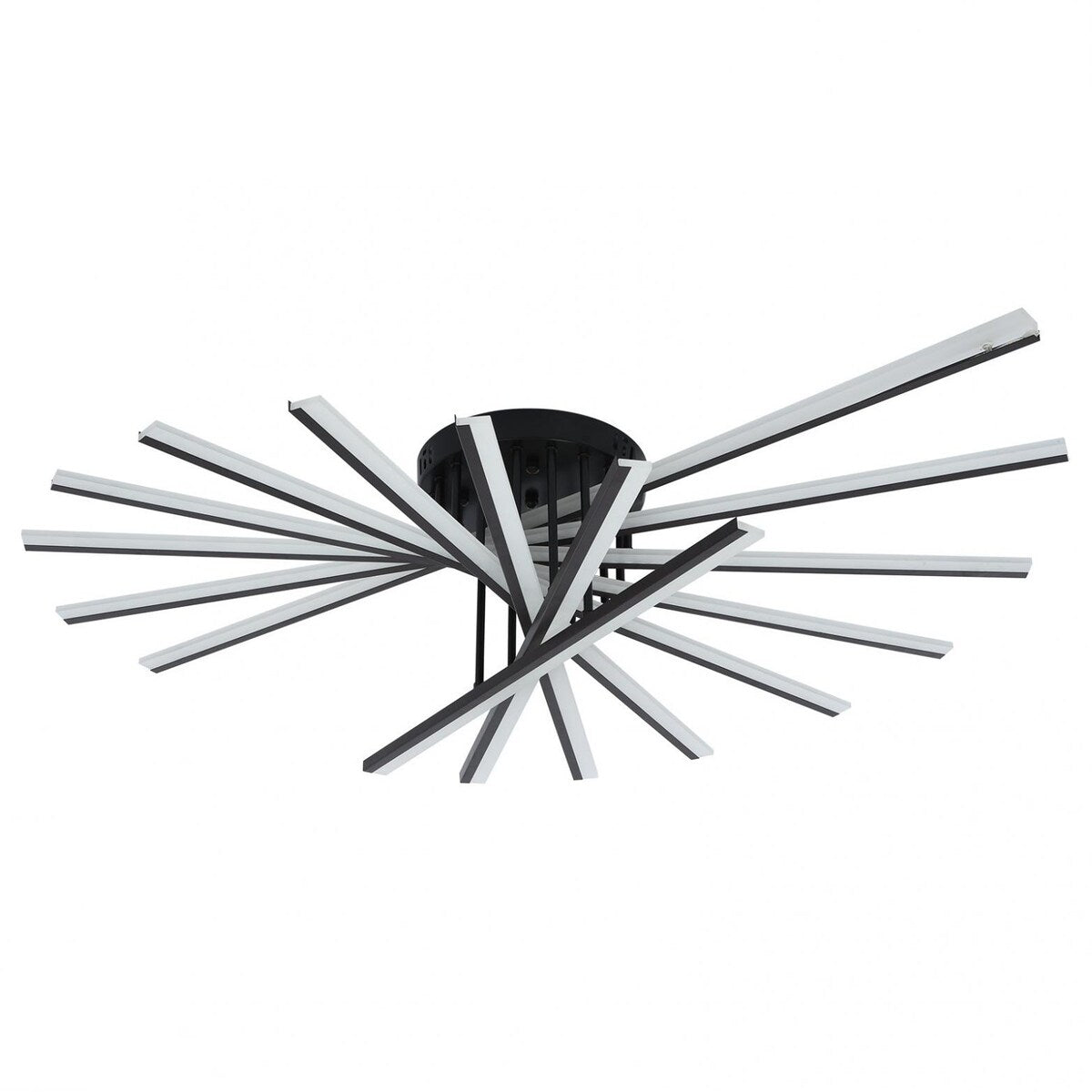 Modern Personality Ceiling Lamp