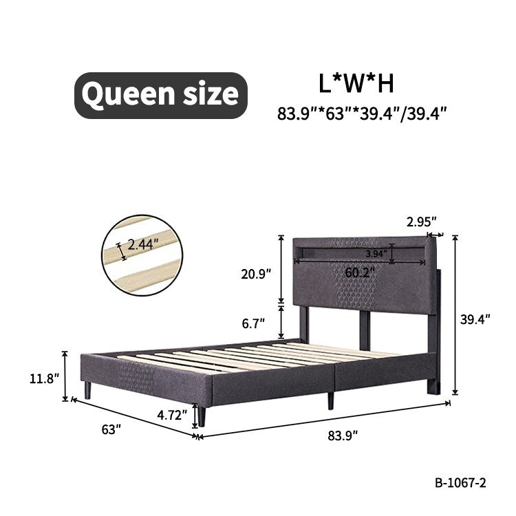 Modern Platform Bed with LED Lights