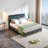 Modern Platform Bed with LED Lights