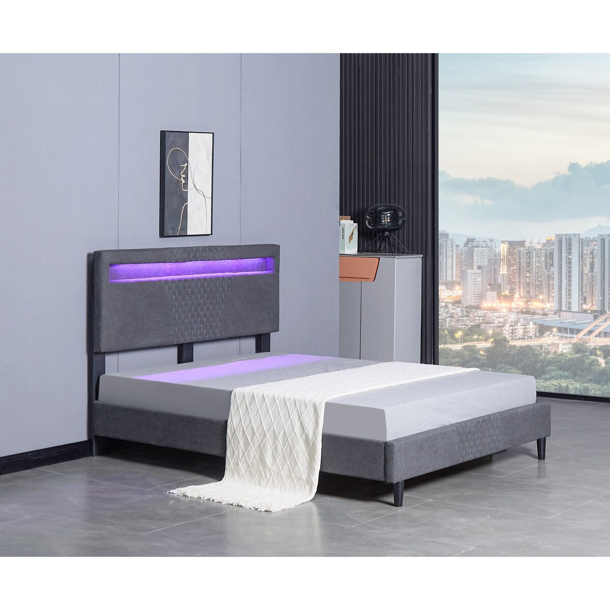 Modern Platform Bed with LED Lights
