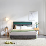 Modern Platform Bed with LED Lights