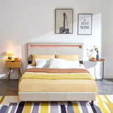 Modern Platform Bed with LED Lights