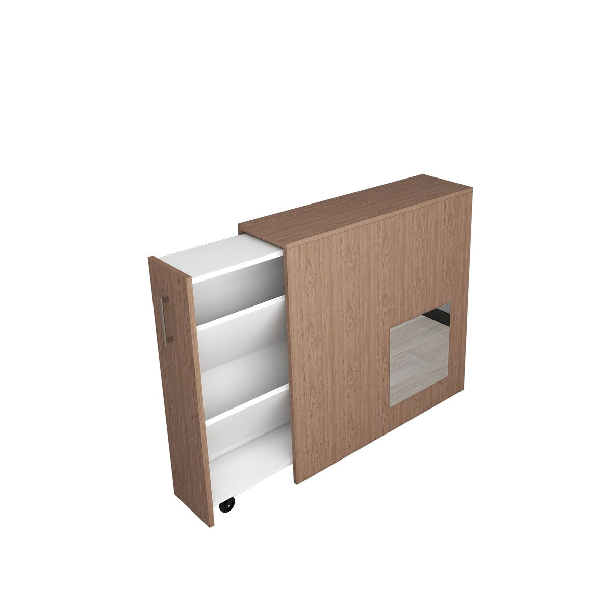 Modern Shoe Cabinet with Hidden Shoe Rack Pull-out Freestanding