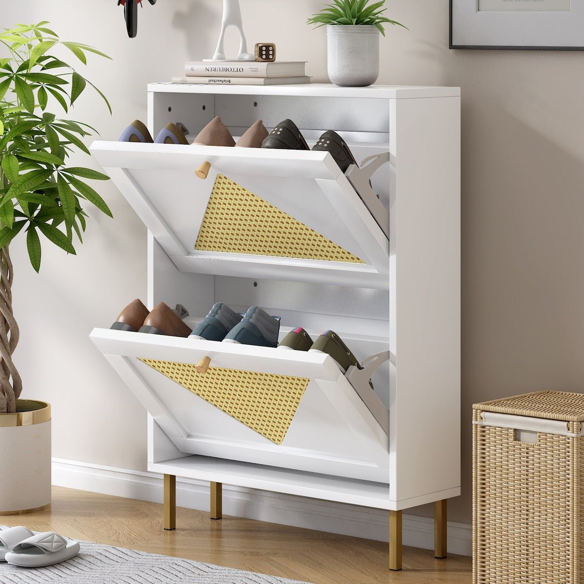 Modern Shoe Storage Cabinet With 2 Flip Drawers
