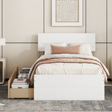 Modern Twin Bed Frame With 2 Drawers