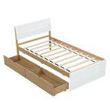 Modern Twin Bed Frame With 2 Drawers