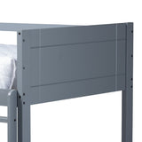 Modern and Contemporary Bunk Bed