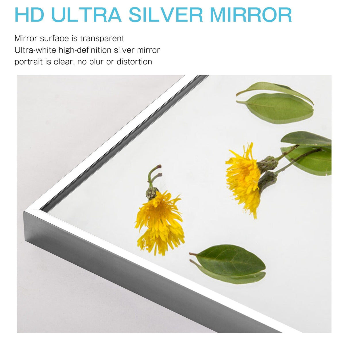 Modern and Contemporary Thin Frame Wall Mirror Full Length Mirror