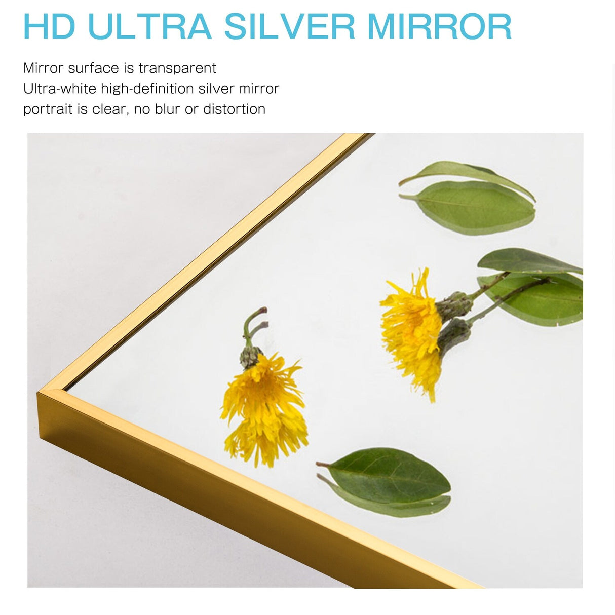 Modern and Contemporary Thin Frame Wall Mirror Full Length Mirror