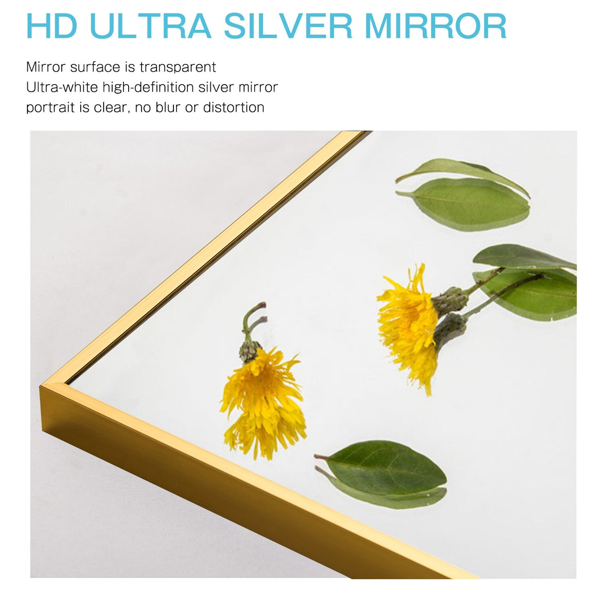 Modern and Contemporary Thin Frame Wall Mirror Full Length Mirror