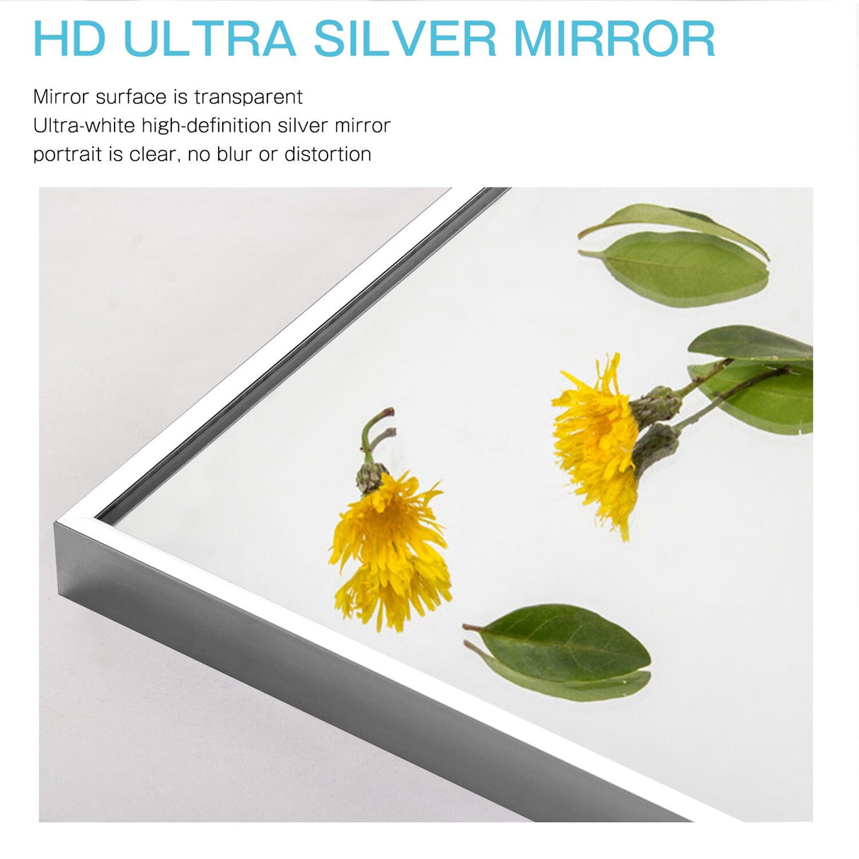 Modern and Contemporary Thin Frame Wall Mirror Full Length Mirror