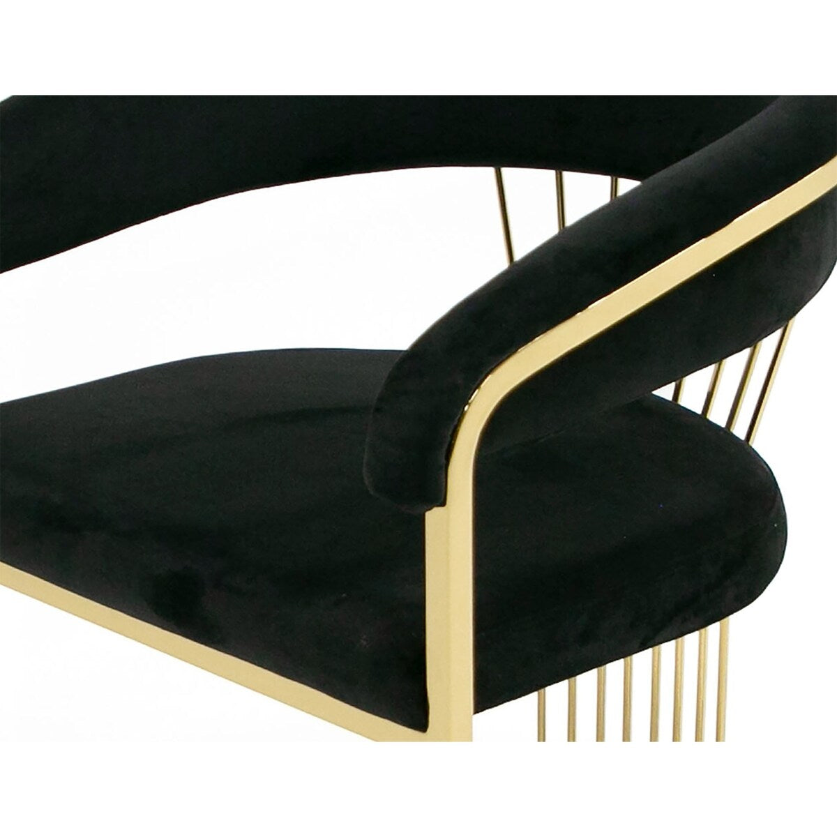 Moha 24 Inch Dining Chair, Round Cantilever Base, Black Velvet, Gold Finish