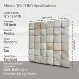 Molar 5 Tan Pebble Mosaic, Backsplash Tiles for Kitchen Walls, Shower and Bathroom Floors (12" X 12") 5 tiles per case
