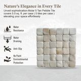 Molar 5 Tan Pebble Mosaic, Backsplash Tiles for Kitchen Walls, Shower and Bathroom Floors (12" X 12") 5 tiles per case