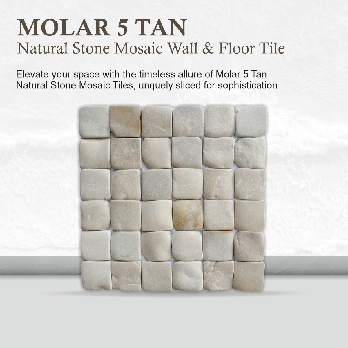 Molar 5 Tan Pebble Mosaic, Backsplash Tiles for Kitchen Walls, Shower and Bathroom Floors (12" X 12") 5 tiles per case