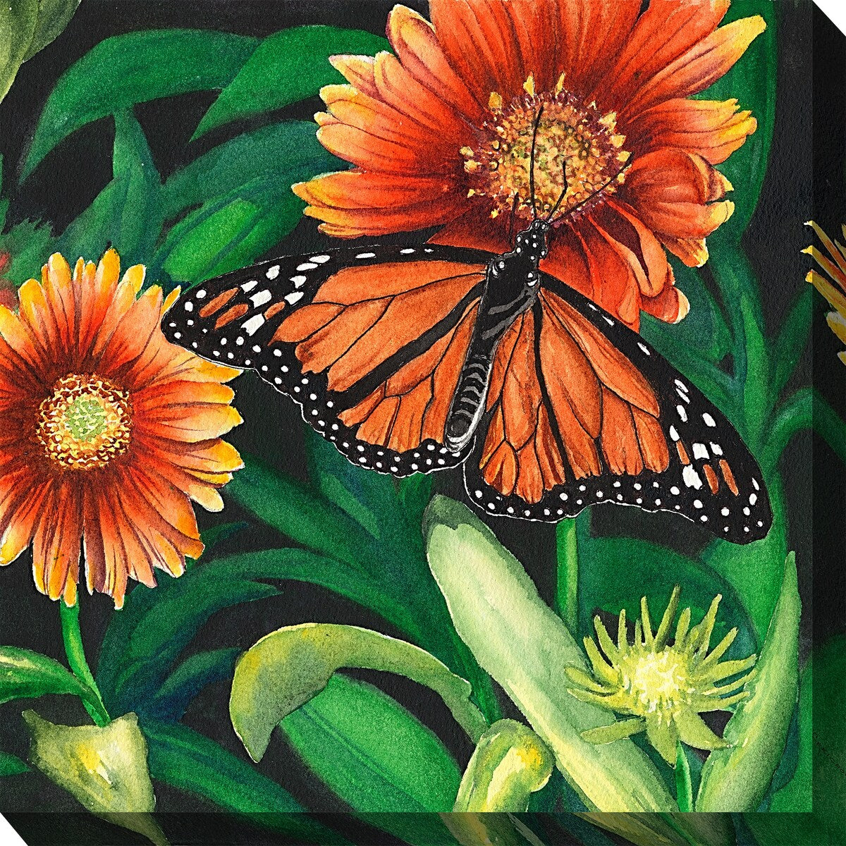 Monarch Outdoor Art 24x24