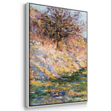 Monet - Multi Piece Framed Canvas