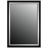 Hitchcock Butterfield Montevideo Natural Large Black and Brushed Nickel Silver Transitional Mirror - 22.75"w x 58.75"h